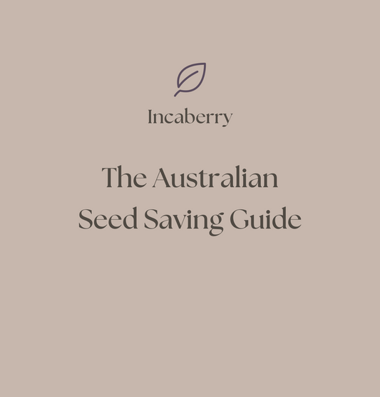 Beginner's Seed Saving Guide (PDF Download)