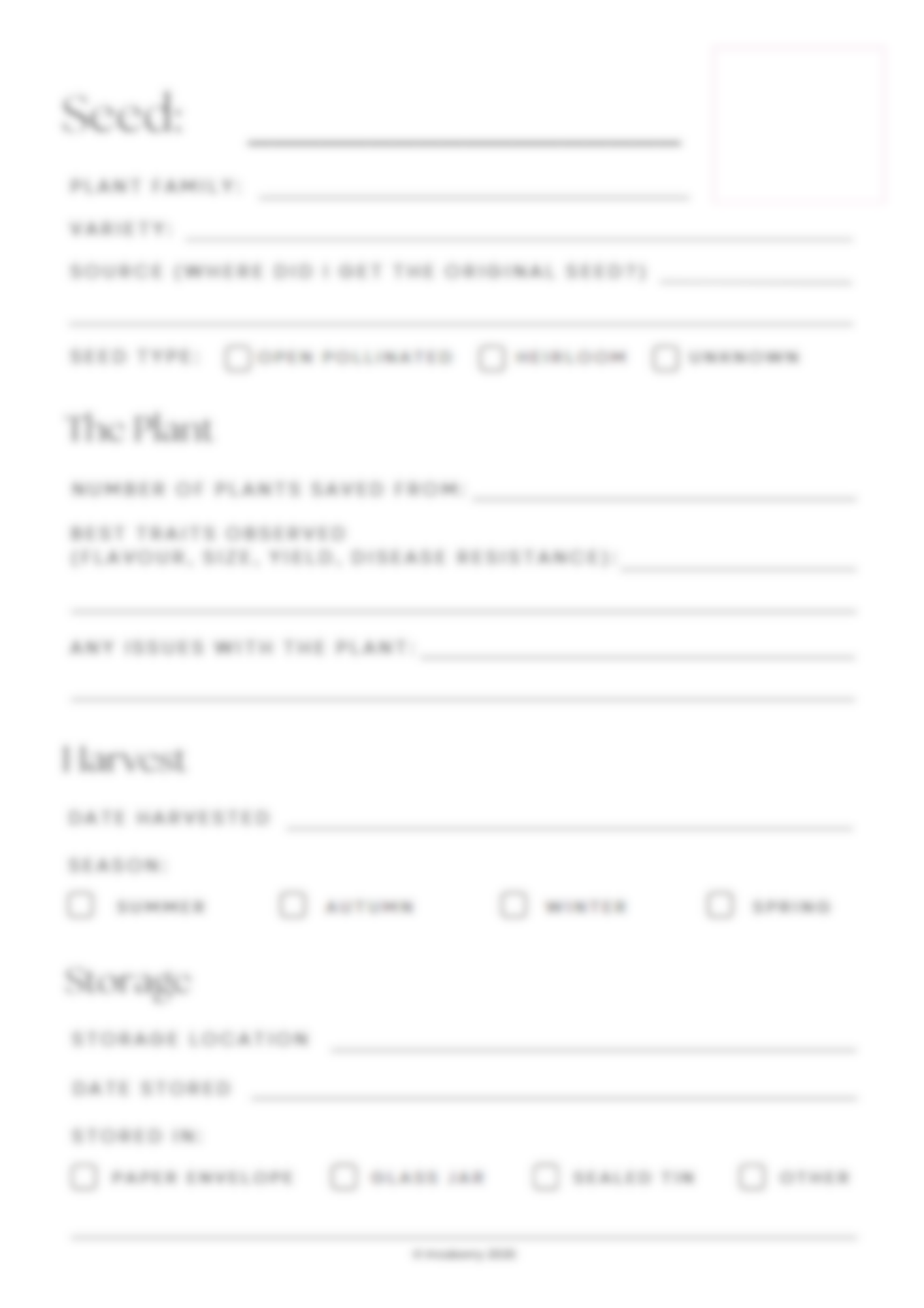 Beginners Seed Saving Guide (PDF Download)